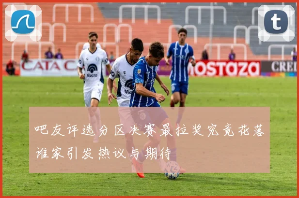 吧友评选分区决赛最拉奖究竟花落谁家引发热议与期待